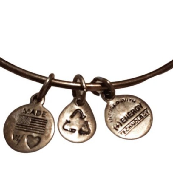 Alex & Ani Dolphin Silver Tone Bangle Charm Bracelet - Picture 3 of 3